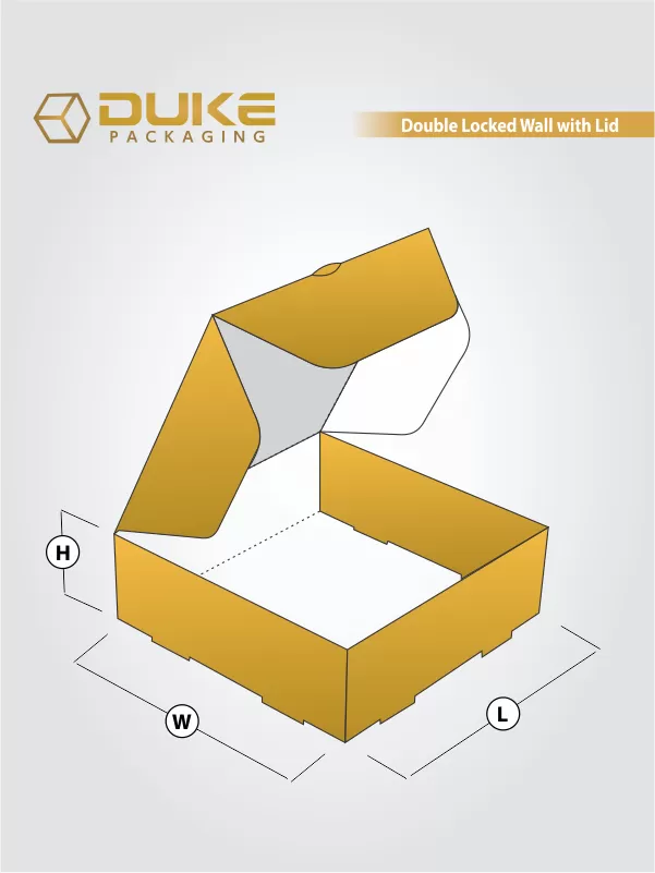 Double Locked Wall Lid Boxes